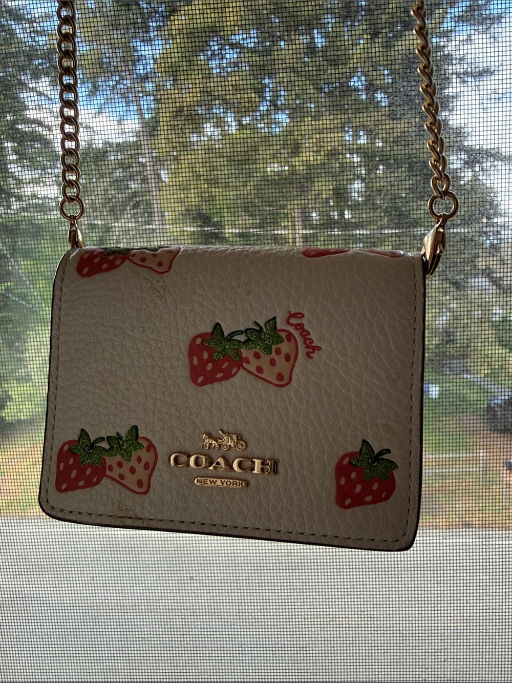 COACH White Strawberry Print Short Zip Around Chain Crossbody Bag 10*8*2cm